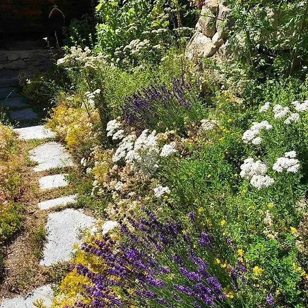 Apartment Denkmalgeschuetzter Spycher Total Renoviert *