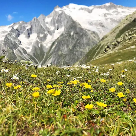 Denkmalgeschuetzter Spycher Total Renoviert * Goms
