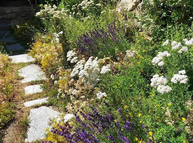 Apartman Denkmalgeschuetzter Spycher Total Renoviert *