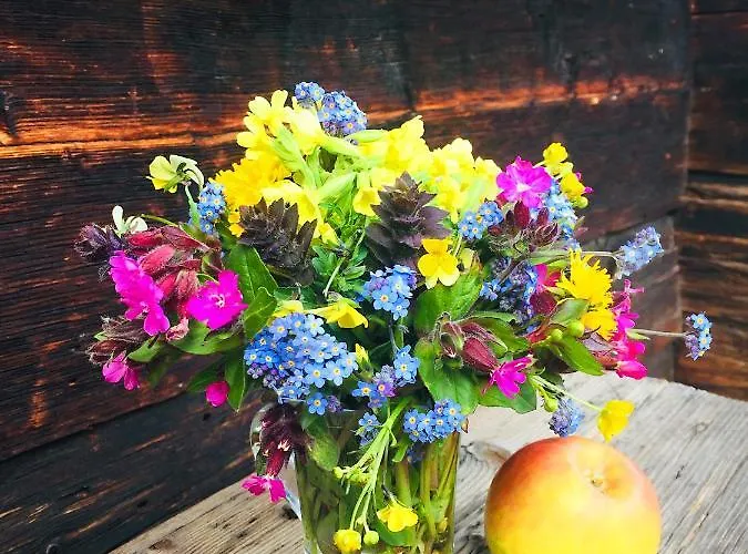 Denkmalgeschuetzter Spycher Total Renoviert * Goms