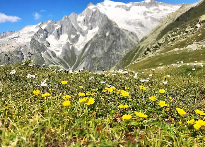 Denkmalgeschuetzter Spycher Total Renoviert * Goms
