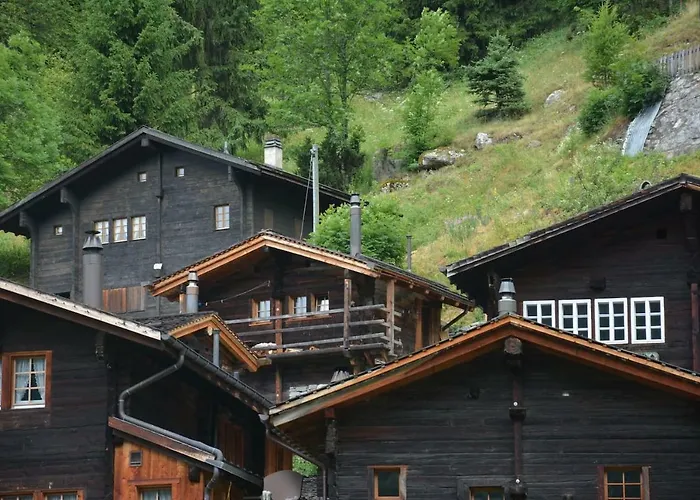 Denkmalgeschuetzter Spycher Total Renoviert Appartement Goms