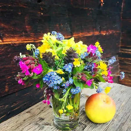 Denkmalgeschuetzter Spycher Total Renoviert * Goms