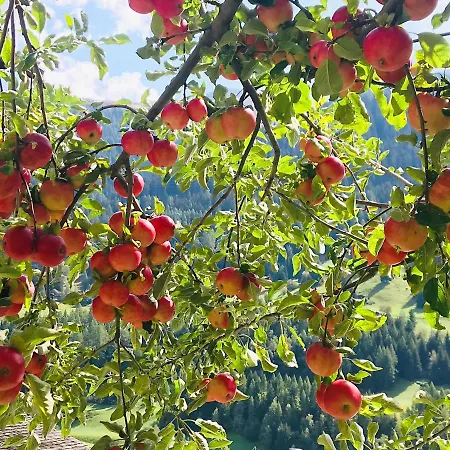 Denkmalgeschuetzter Spycher Total Renoviert Goms